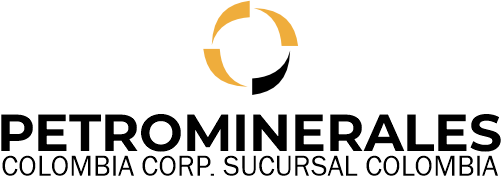 Petrominerales